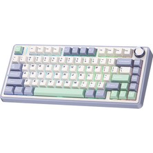 Aula F75 Mekanik Rgb Tkl Gray Switch Kablosuz Makrolu Hot Swap Klavye Pastel