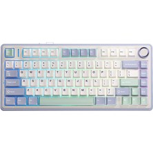 Aula F75 Mekanik Rgb Tkl Gray Switch Kablosuz Makrolu Hot Swap Klavye Pastel