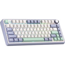 Aula F75 Mekanik Rgb Tkl Gray Switch Kablosuz Makrolu Hot Swap Klavye Pastel