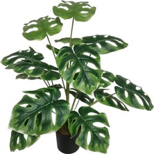 Çiçekmisin Yapay Monstera Ağacı 60 cm