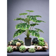 Çiçekmisin Yapay Monstera Ağacı 60 cm