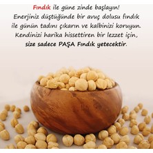 Paşa Kuruyemiş Kavrulmuş Fındık Içi 500 gr (Şeffaf Paket)