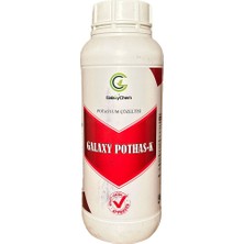 Galaxychem Galaxy Pothas-K 1 Lt Potasyum Çözeltisi