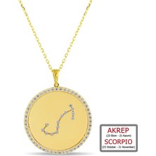 Kuyumcudükkanı Kuyumcudukkanı Zirkontaşlı"akrep Burcu"kolye