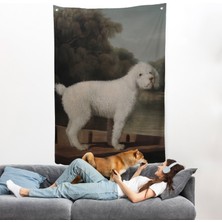 Harita Sepeti George Stubbs Beyaz Kaniş Duvar ÖRTÜSÜ-8034