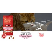 Anne ve Yavru Kedi Maması (Mother&babycat) Tavuklu&balıklı 2 kg