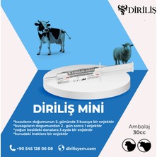 Diriliş Mini 5'li Paket Yem Katkı