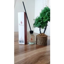 Beauty Fragrance Bambu Çubuklu Oda Kokusu, Portakal Meyve Çiçek 100 ml Reed Diffuser