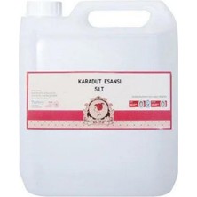 Elito Premium Karadut Esansı 5 Litre