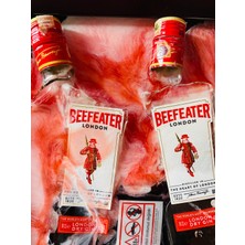 Design Shops Epoksi Tablo ( Beefeater London) Kırık Şişe Sanatı