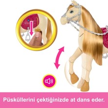 Barbie Dans ve Gösteri Atı HXJ42