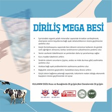 Diriliş Megabesi 25 kg Yem Katkı