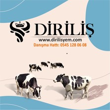 Diriliş Megasüt 25 kg Yem Katkı