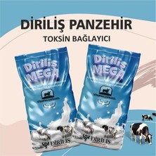 Diriliş Megapanzehir 25 kg Yem Katkı