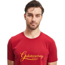 GS Store Galatasaray Erkek T-Shirt E241126