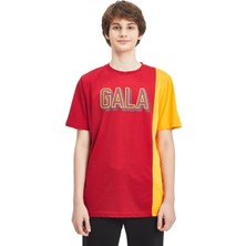 GS Store Galatasaray Erkek T-Shirt Y241222