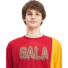 GS Store Galatasaray Erkek T-Shirt Y241222