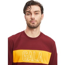 GS Store Galatasaray Erkek T-Shirt E241128