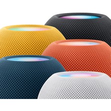 Apple MY5G2D/A Homepod Mini Uzay Grisi