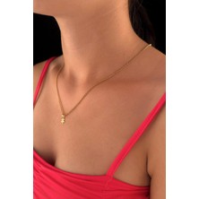 Fiyonk Kuyumculuk 14 Ayar Altın Halka Doch Zincir Yonca Uçlu Kolye