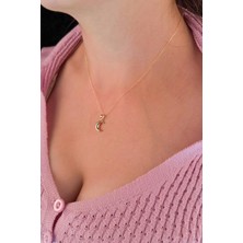 Fiyonk Kuyumculuk 14 Ayar Altın Hayalet Zincir Hilal Ay Uçlu Kolye