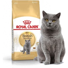 Royal Canin British Shorthair Cinsi Yetişkin (Adult) Kedi Maması 2 kg
