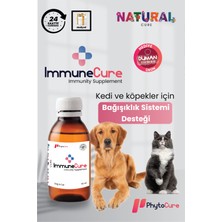 Phytocure Immune Cure - Immun Destekleyici