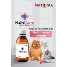 Phytocure Multi Cure - Multivitamin Desteği