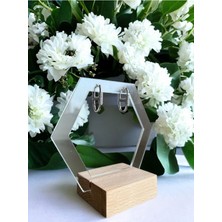 Asteria Jewelry Gümüş Zirkon Taşlı Tasarım Küpe