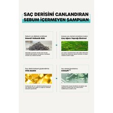 DR+ BANGGIWON Yağlı Saçlar İçin Şampuan 1000 ml