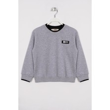 Zepkids Yakası Kaşkorse Detaylı Gri Renk Erkek Çocuk Sweatshirt