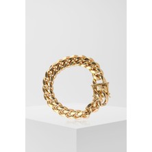 Watch of Royal GERARDO GOLD ÇELİK BİLEKLİK