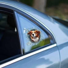 Kaufhier Fulcar Australian Shepherd Araç Stickerı