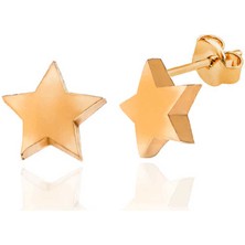 Kaufhier Gümüş Rose Yıldız Çivili Kadın Küpe