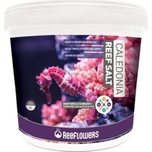 Caledonia Reef Salt 1kg Açık