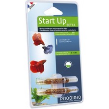 Prodibio - Start Up Betta