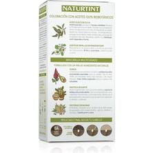 Naturtint 8a Kül Sarısı Doğal Saç Boyası 170 Ml