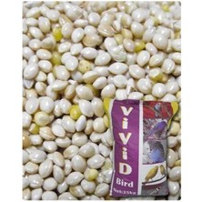 Vivid Ak Darı 1kg. Açık