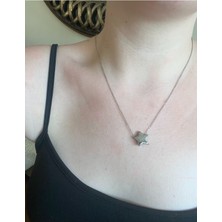 Asteria Jewelry Kadın Silver Yıldızlı Çelik Kolye