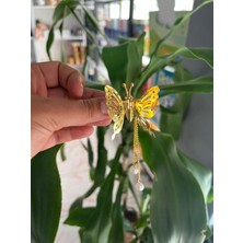 EyER Shoping Yaylı Oynar Kelebek Yarmagül Tokası Klipsli