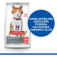 Hill's Scıence Plan Somonlu Kısırlaştırılmış Yetişkin Kedi Maması 8+2 kg