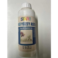 Silkcoat Küflü Yüzey Astarı 1 Lt