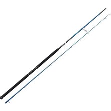 Savage Gear Sgs2 Shore Jigging 10'/3.05M 30-100 gr 2 Parça