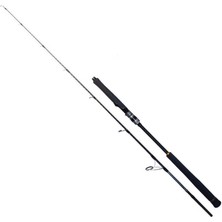 Ryuji Seawolf 1.98M 150-250GR 2p Jig Olta Kamışı Standart-Standart