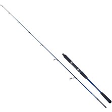 Ryuji Strobe Iı 1.98M 40-110GR 2p Jig Olta Kamışı Standart-Standart