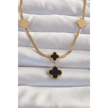 Clariss 316L Çelik Gold Renk Italyan Zincirli Mineli Yonca Kolye