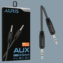 Auris Aux Kablo Çift Taraf 3.5mm Jack