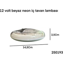 Gcstore 12 Volt Beyaz Neon Iç Tavan Lambası 2 Renk