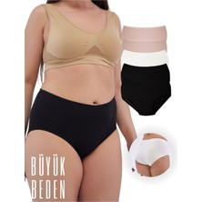 ALYA UNDERWEAR Kadın Büyük Beden Külot Battal Full Brief (8xl, 9xl, 10xl) 5 Farklı Renk 1 Pakette