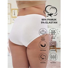 ALYA UNDERWEAR Kadın Büyük Beden Külot Battal Full Brief (8xl, 9xl, 10xl) 5 Farklı Renk 1 Pakette